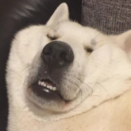 이스굿