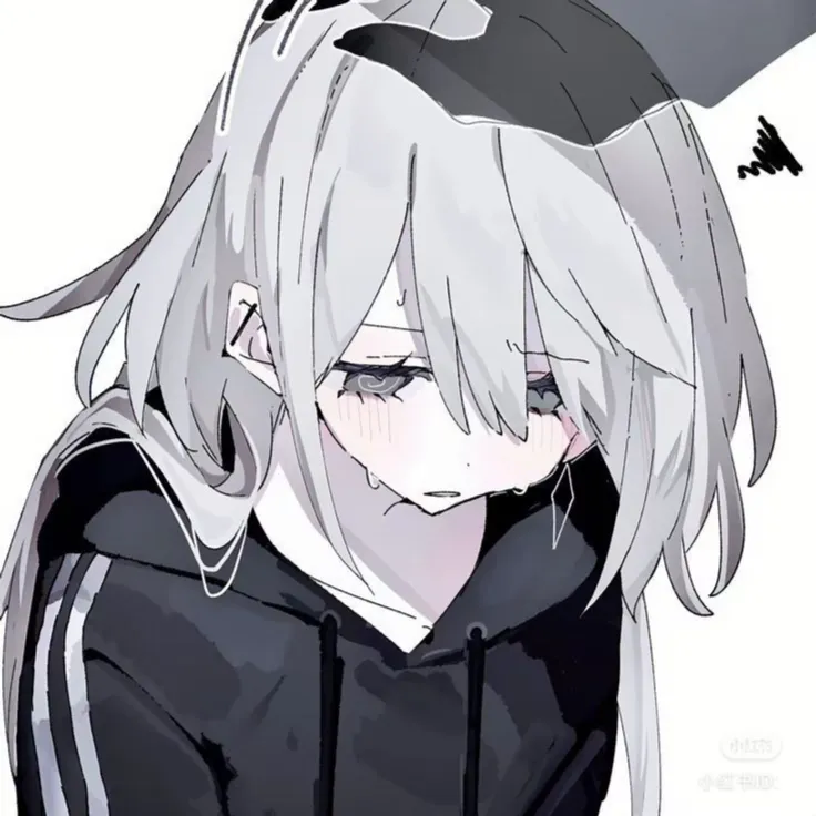린카