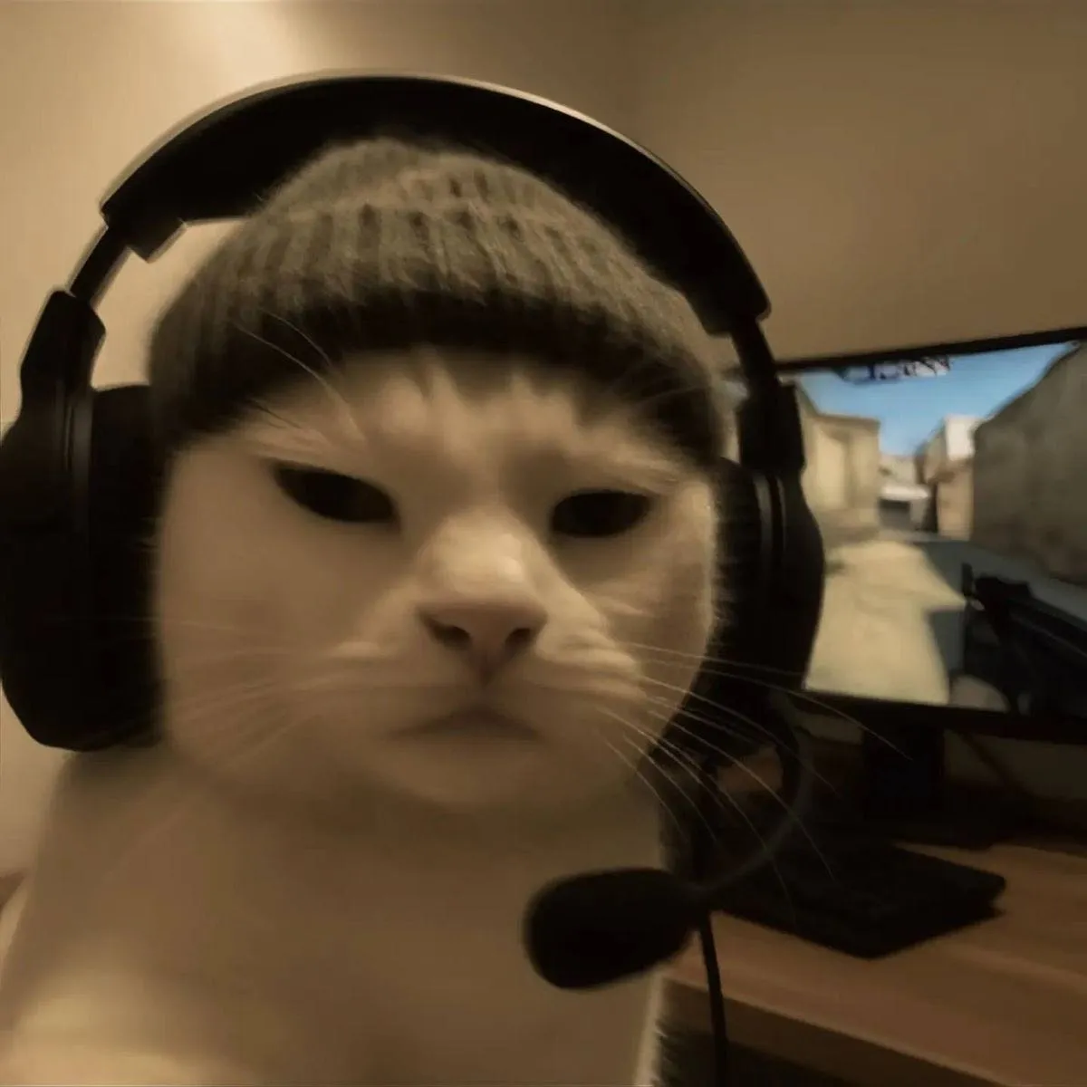 xozwz