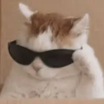 llllllll